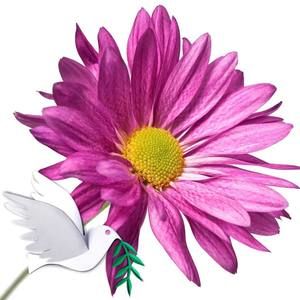 Meet your Posher, Betty